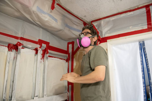 Best Commercial Mold Inspection  in University Place, WA