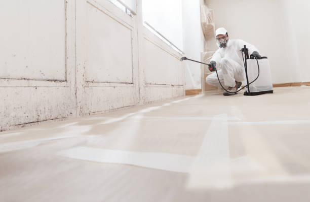 Best Mold Odor Removal Services  in University Place, WA