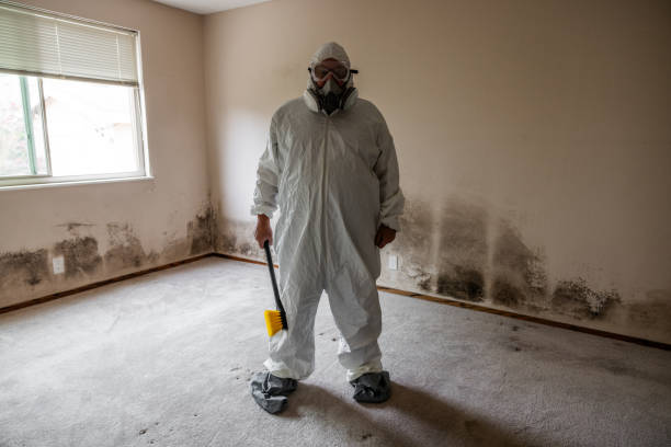 Best Industrial Mold Remediation  in University Place, WA