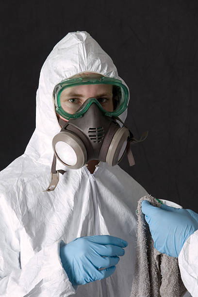 Best Emergency Mold Remediation  in University Place, WA